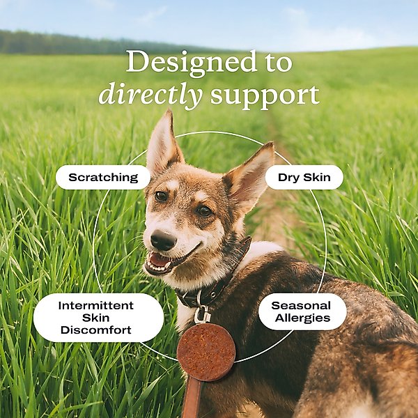 Show full view: PetLab Co. Itch Relief Pork Flavor Dog Supplement, 30 count slide 5 of 10