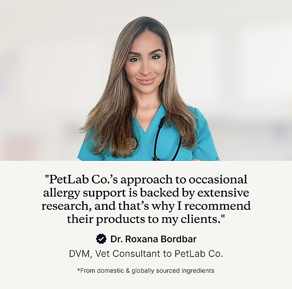 Show full view: PetLab Co. Itch Relief Pork Flavor Dog Supplement, 30 count slide 3 of 10