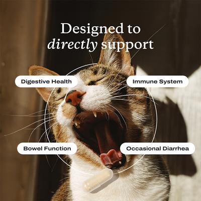 Show full view: PetLab Co. Probiotics Chicken Flavored Capsule Digestive Supplement for Cats, 30 count, slide 6 of 9