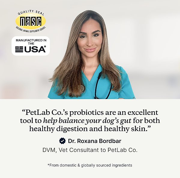 Show full view: PetLab Co. Probiotic Pork Flavored Soft Chews Digestive Supplement for Dogs, 60 count slide 3 of 10