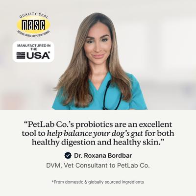 Show full view: PetLab Co. Probiotic Pork Flavored Soft Chews Digestive Supplement for Dogs, 30 count slide 4 of 11