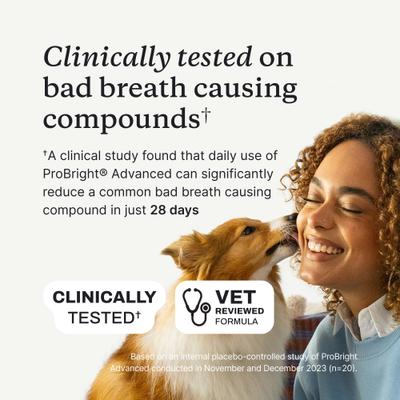 Show full view: PetLab Co. ProBright Advanced Chicken Flavored Powder Dental Supplement for Dogs, Large Dogs: 3.17-oz jar slide 5 of 11