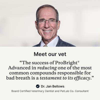 Show full view: PetLab Co. ProBright Advanced Chicken Flavored Powder Dental Supplement for Dogs, Large Dogs: 3.17-oz jar slide 6 of 11