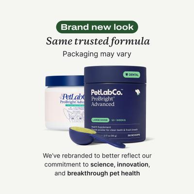 Show full view: PetLab Co. ProBright Advanced Chicken Flavored Powder Dental Supplement for Dogs, Large Dogs: 3.17-oz jar slide 3 of 11