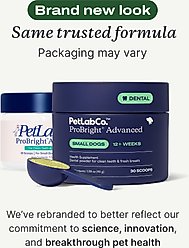 PetLab Co. ProBright Advanced Chicken Flavored Powder Dental Supplement for Dogs, Small Dogs: 1.59-oz jar slide 2 of 9