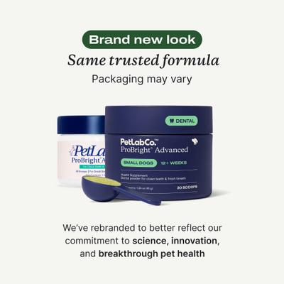 Show full view: PetLab Co. ProBright Advanced Chicken Flavored Powder Dental Supplement for Dogs, Small Dogs: 1.59-oz jar slide 3 of 11