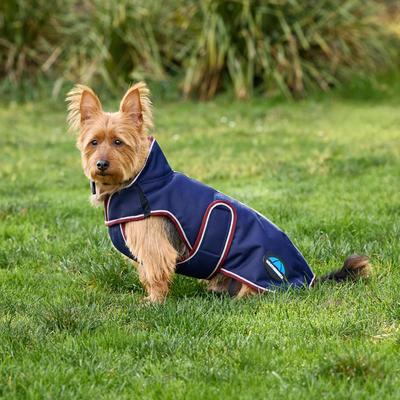 Show full view: WeatherBeeta ComFiTec Premier Deluxe Waterproof Dog Coat, Navy/Burgundy, 26-in slide 6 of 8