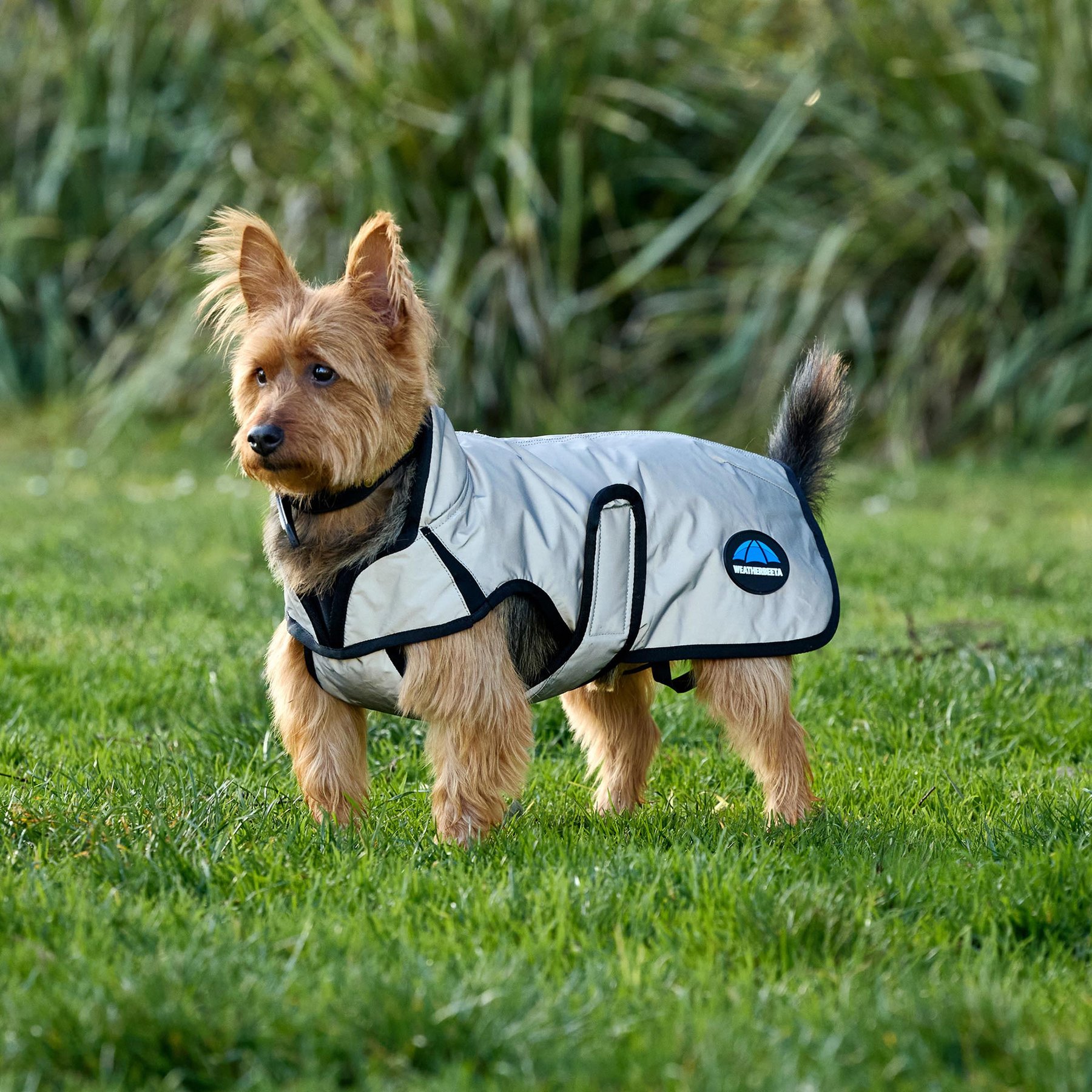 WeatherBeeta ComFiTec Reflective Showerproof Dog Coat, Silver, 30-in