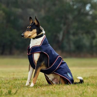 Show full view: WeatherBeeta ComFiTec Premier Deluxe Waterproof Dog Coat, Navy/Burgundy, 26-in slide 4 of 8