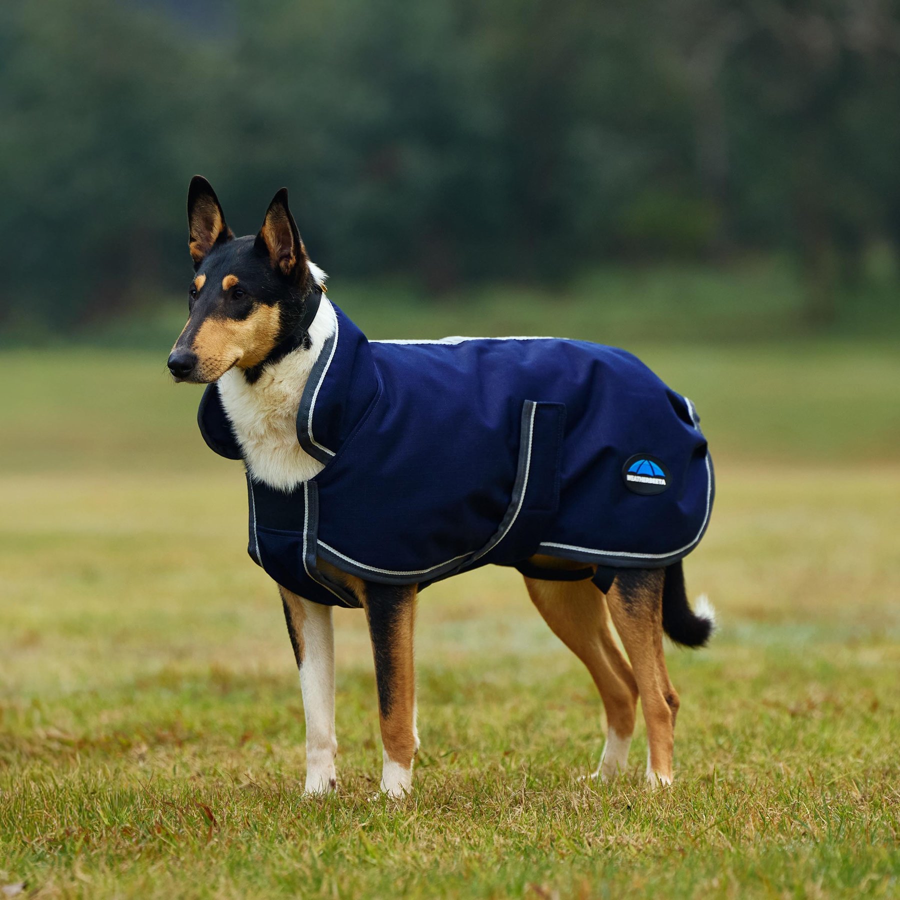 WeatherBeeta ComFiTec 1200D Deluxe Waterproof Dog Coat, Navy/Gray/White, 26-in