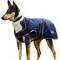 Show in main carousel: WeatherBeeta ComFiTec Premier Deluxe Waterproof Dog Coat, Navy/Burgundy, 26-in slide 7 of 8