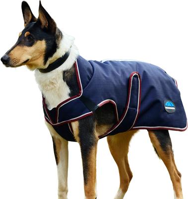 Show full view: WeatherBeeta ComFiTec Premier Deluxe Waterproof Dog Coat, Navy/Burgundy, 26-in slide 7 of 8
