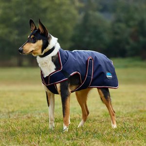 The Worthy Dog Seattle Slicker Dog Jacket, Yellow