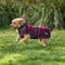 Show in main carousel: WeatherBeeta ComFiTec Premier Deluxe Waterproof Dog Coat, Burgundy/Navy, 14-in slide 6 of 9
