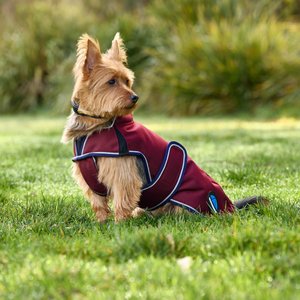 WeatherBeeta ComFiTec Premier Deluxe Waterproof Dog Coat, Burgundy/Navy, 22-in