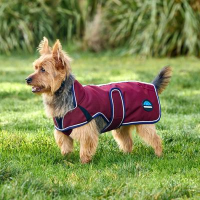 Show full view: WeatherBeeta ComFiTec Premier Deluxe Waterproof Dog Coat, Burgundy/Navy, 14-in slide 8 of 9