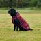 Show in main carousel: WeatherBeeta ComFiTec Premier Deluxe Waterproof Dog Coat, Burgundy/Navy, 14-in slide 5 of 9