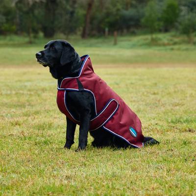 Show full view: WeatherBeeta ComFiTec Premier Deluxe Waterproof Dog Coat, Burgundy/Navy, 14-in slide 5 of 9