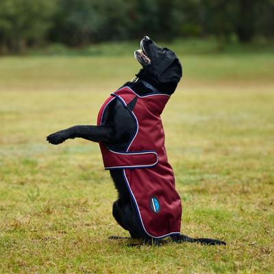 Show full view: WeatherBeeta ComFiTec Premier Deluxe Waterproof Dog Coat, Burgundy/Navy, 14-in slide 2 of 9