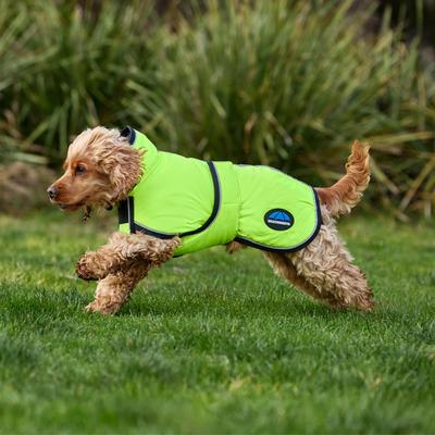 Show full view: WeatherBeeta ComFiTec Reflective 300D Deluxe Showerproof Dog Coat, Yellow, 24-in slide 6 of 10