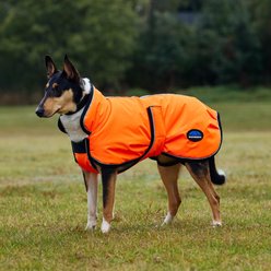 WeatherBeeta ComFiTec Reflective 300D Deluxe Showerproof Dog Coat, Orange, 26-in