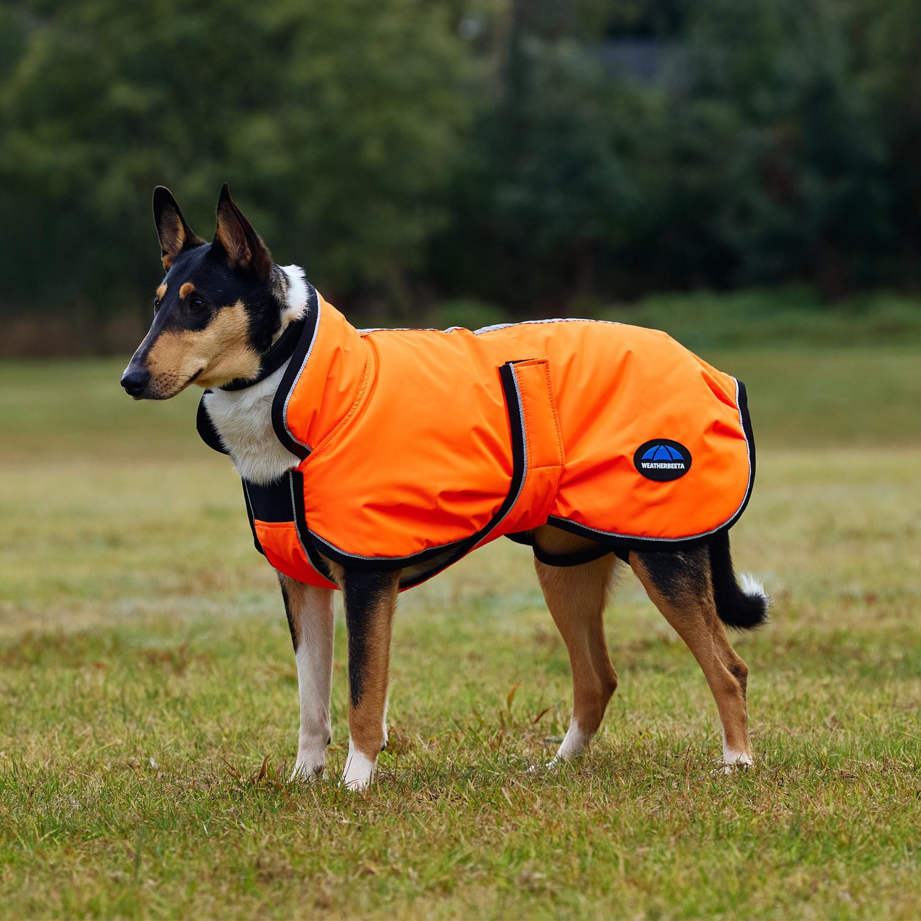 WeatherBeeta ComFiTec Reflective 300D Deluxe Showerproof Dog Coat, Orange, 32-in