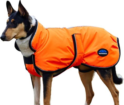 Show full view: WeatherBeeta ComFiTec Reflective 300D Deluxe Showerproof Dog Coat, Orange, 16-in slide 7 of 9