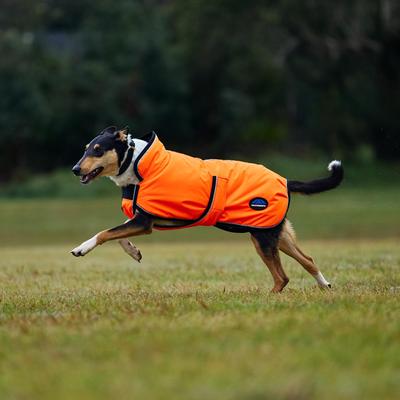 Show full view: WeatherBeeta ComFiTec Reflective 300D Deluxe Showerproof Dog Coat, Orange, 16-in slide 3 of 9
