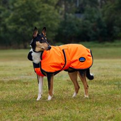 WeatherBeeta ComFiTec Reflective 300D Deluxe Showerproof Dog Coat, Orange, 18-in slide 2 of 8