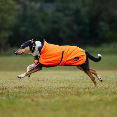 Show full view: WeatherBeeta ComFiTec Reflective 300D Deluxe Showerproof Dog Coat, Orange, 16-in slide 4 of 9