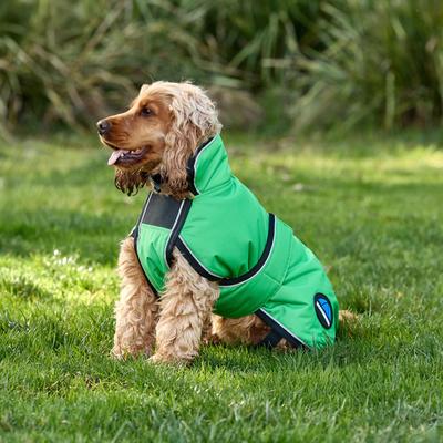 Show full view: WeatherBeeta ComFiTec Reflective 300D Deluxe Showerproof Dog Coat, Green, 28-in slide 3 of 8