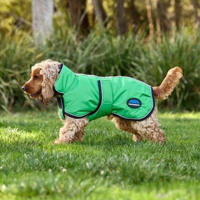 Show full view: WeatherBeeta ComFiTec Reflective 300D Deluxe Showerproof Dog Coat, Green, 28-in slide 4 of 8