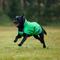 Show in main carousel: WeatherBeeta ComFiTec Reflective 300D Deluxe Showerproof Dog Coat, Green, 28-in slide 2 of 8
