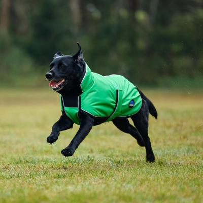 Show full view: WeatherBeeta ComFiTec Reflective 300D Deluxe Showerproof Dog Coat, Green, 28-in slide 2 of 8