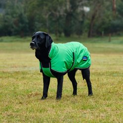 WeatherBeeta ComFiTec Reflective 300D Deluxe Showerproof Dog Coat, Green, 28-in