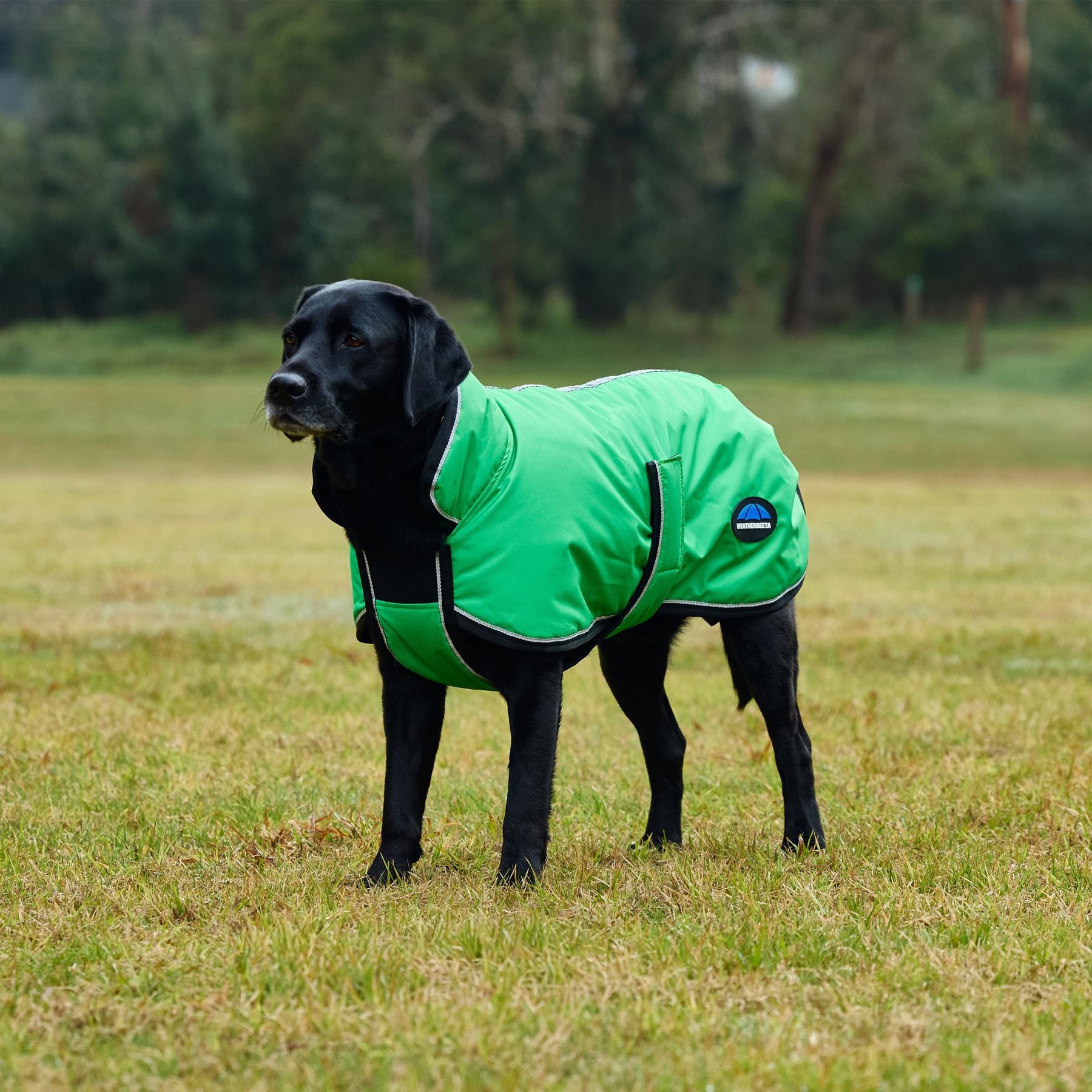 WeatherBeeta ComFiTec Reflective 300D Deluxe Showerproof Dog Coat, Green, 12-in