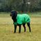 Show in main carousel: WeatherBeeta ComFiTec Reflective 300D Deluxe Showerproof Dog Coat, Green, 28-in slide 1 of 8