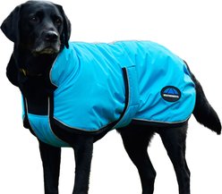 WeatherBeeta ComFiTec Reflective 300D Deluxe Showerproof Dog Coat, Blue, 32-in slide 2 of 7