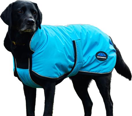 Show full view: WeatherBeeta ComFiTec Reflective 300D Deluxe Showerproof Dog Coat, Blue, 18-in slide 6 of 8