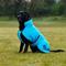 Show in main carousel: WeatherBeeta ComFiTec Reflective 300D Deluxe Showerproof Dog Coat, Blue, 18-in slide 2 of 8