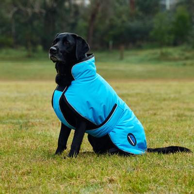 Show full view: WeatherBeeta ComFiTec Reflective 300D Deluxe Showerproof Dog Coat, Blue, 18-in slide 2 of 8