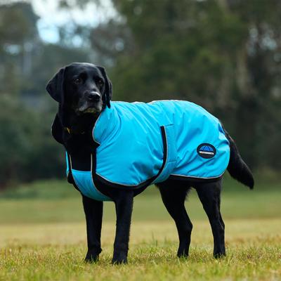 Show full view: WeatherBeeta ComFiTec Reflective 300D Deluxe Showerproof Dog Coat, Blue, 18-in slide 5 of 8