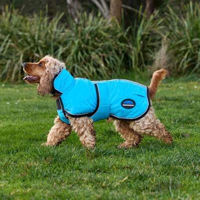 Show full view: WeatherBeeta ComFiTec Reflective 300D Deluxe Showerproof Dog Coat, Blue, 18-in slide 4 of 8