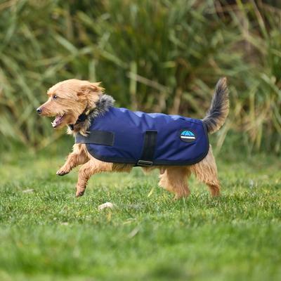 Show full view: WeatherBeeta ComFiTec Classic Waterproof Dog Coat, Navy, 18-in slide 4 of 7