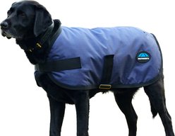 WeatherBeeta ComFiTec Classic Waterproof Dog Coat, Navy, 26-in slide 2 of 7