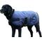 Show in main carousel: WeatherBeeta ComFiTec Classic Waterproof Dog Coat, Navy, 18-in slide 6 of 7