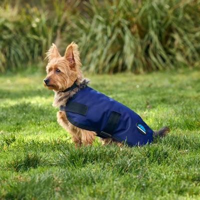 Show full view: WeatherBeeta ComFiTec Classic Waterproof Dog Coat, Navy, 18-in slide 5 of 7
