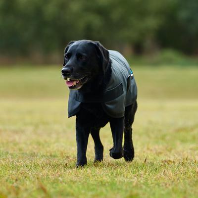 Show full view: WeatherBeeta ComFiTec Classic Waterproof Dog Coat, Charcoal, 32-in slide 7 of 9