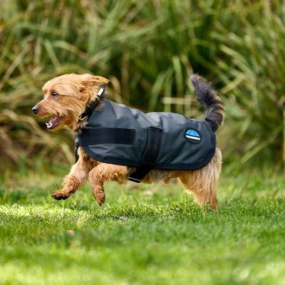 Show full view: WeatherBeeta ComFiTec Classic Waterproof Dog Coat, Charcoal, 32-in slide 8 of 9