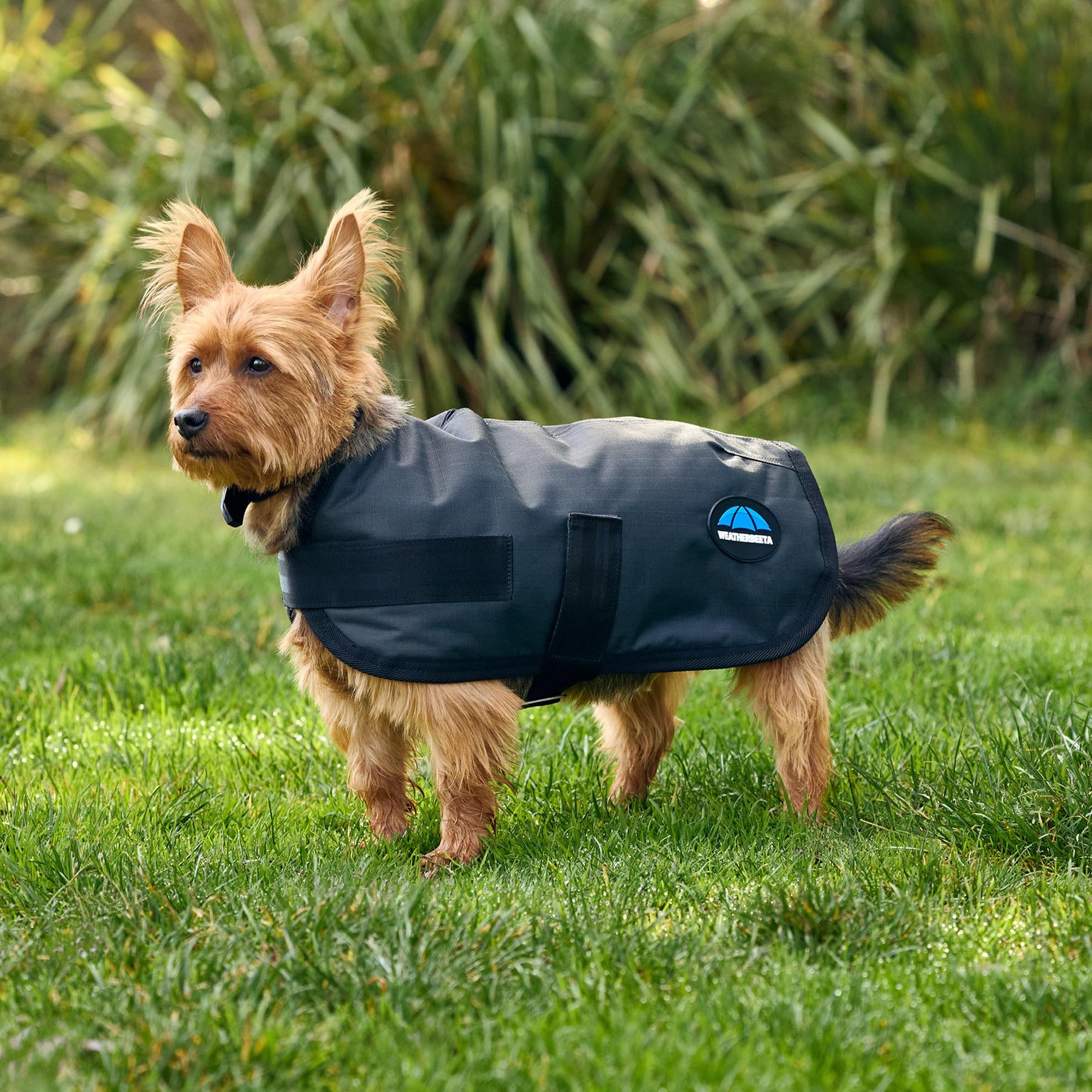 WeatherBeeta ComFiTec Classic Waterproof Dog Coat, Charcoal, 12-in